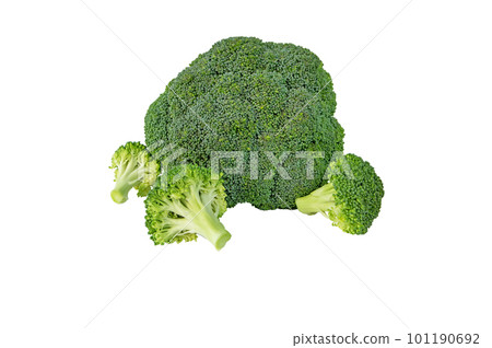 Broccoli cabbage flowering head and separate florets isolated on white Broccoli cabbage flowering head and separate florets isolated on white 101190692