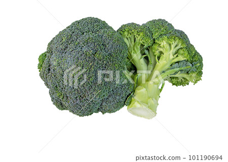 Broccoli or calabrese cabbage heads isolated on white 101190694