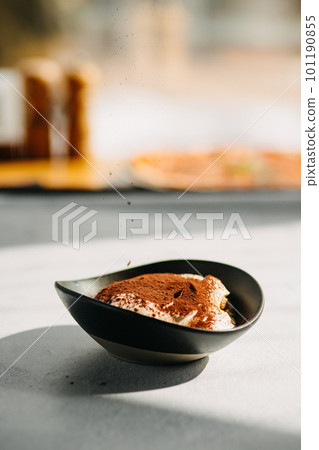 Italian dessert Panna Cotta creamy coffee with chocolate on a plate on a light gray background. Italian dessert Panna Cotta creamy coffee with chocolate on a plate on a light gray background. 101190855