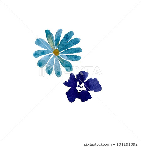 Daisy blue dark blue viola watercolor sketch 101191092