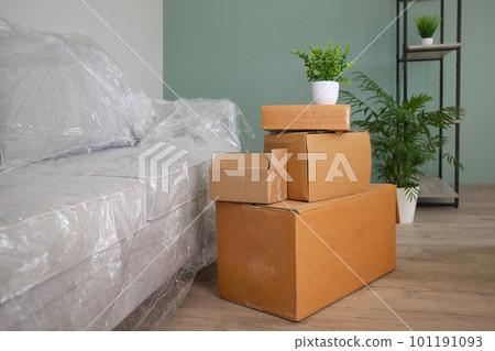 Packed sofa and cardboard boxes in the living room. The concept of moving. 101191093