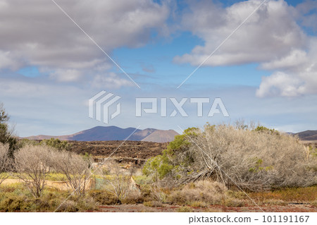 Landscape with mountains, Fuerteventura Landscape with mountains, Fuerteventura 101191167