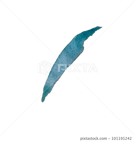 Petal daisy chamomile navy blue watercolor sketch 101191242