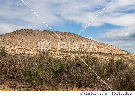 Land with a mountain, Costa Calma, Fuerteventura 101191290