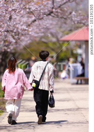 沿著櫻花樹散步的戀人 沿著櫻花樹散步的戀人 101191305