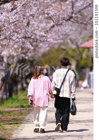 沿著櫻花樹散步的戀人 101191306