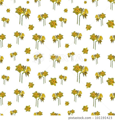 Flower bud narcissus hand drawn seamless pattern Flower bud narcissus hand drawn seamless pattern 101191423