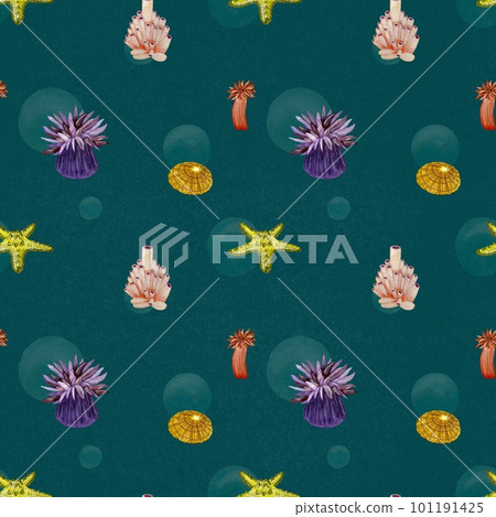 Water plant seashell sea blue pattern watercolor Water plant seashell sea blue pattern watercolor 101191425