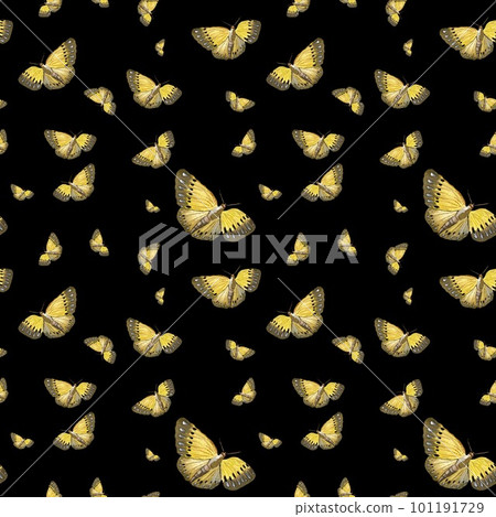 Butterfly yellow a cute pattern black watercolor 101191729