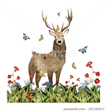 Nature grass deer flower red butterfly watercolor Nature grass deer flower red butterfly watercolor 101191817