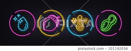 Water drop, Acorn and Thermometer minimal line icons. Neon laser 3d lights. Peanut icons. For web, application, printing. Crystal aqua, Oaknut, Thermostat. Vegetarian nut. Neon lights buttons. Vector 101192036