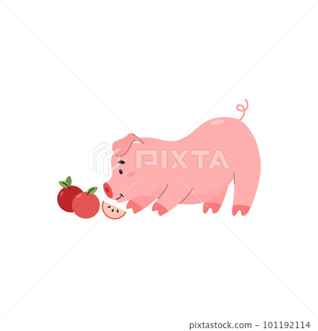 Funny and cute pig eats apples, cartoon flat vector illustration isolated on white background. Funny and cute pig eats apples, cartoon flat vector illustration isolated on white background. 101192114