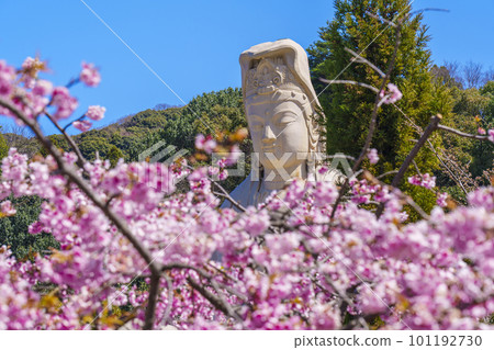 靈山觀音和盛開的櫻花(京都市東山區) 靈山觀音和盛開的櫻花(京都市東山區) 101192730