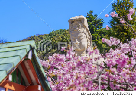 靈山觀音和盛開的櫻花（京都市東山區） 101192732