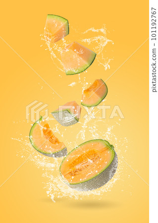 Creative layout made from whole and slice of orange japanese melons or cantaloupe melon and water Splashing on a orange background Creative layout made from whole and slice of orange japanese melons or cantaloupe melon and water Splashing on a orange background 101192767