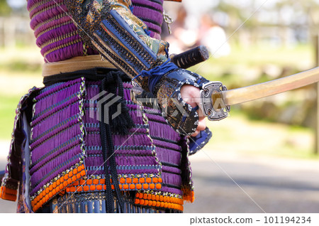 warrior in armor warrior in armor 101194234