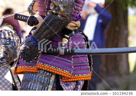 warrior in armor 101194236