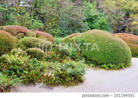 Beautiful iShisen-do in the rain in Kyoto 101194581