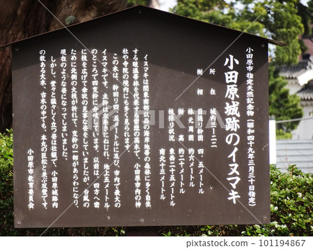 2023 年 3 月小田原城(神奈川縣小田原市)的 Inumaki 說明牌 2023 年 3 月小田原城(神奈川縣小田原市)的 Inumaki 說明牌 101194867