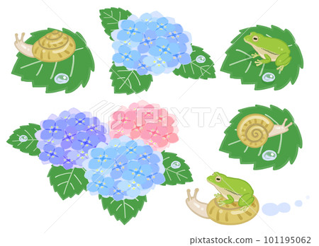 繡球花、蝸牛和樹蛙的插圖 101195062
