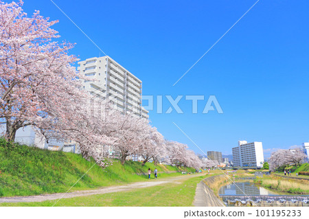 瀨戶市、櫻花景觀和瀨戶河沿岸的公寓 101195233