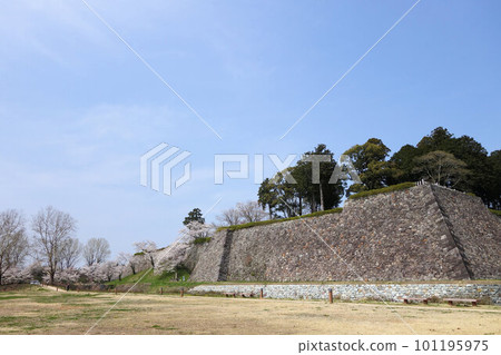 筱山城跡 佐倉丹波 筱山 三月下旬 筱山城跡 佐倉丹波 筱山 三月下旬 101195975