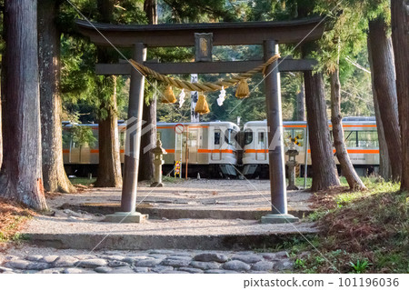 [Takayama Main Line] Train passing a shrine early in the morning 101196036