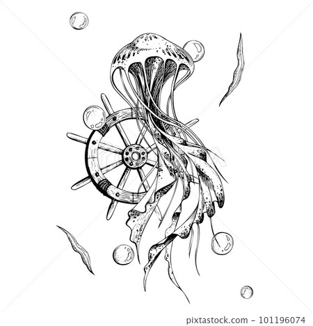 Sea jellyfish with ship's wheel, algae and water bubbles, isolated composition on white background hand drawn in graphic style. Eps vector illustration. For prints, posters, cards, stickers. Sea jellyfish with ship's wheel, algae and water bubbles, isolated composition on white background hand drawn in graphic style. Eps vector illustration. For prints, posters, cards, stickers. 101196074