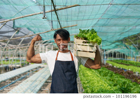 Businessperson or farmer checking hydroponic soilless vegetable in nursery farm. Business and organic hydroponic vegetable concept Businessperson or farmer checking hydroponic soilless vegetable in nursery farm. Business and organic hydroponic vegetable concept 101196196
