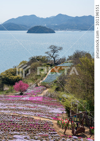 香川縣三豐市獅子島空中花園 101196551