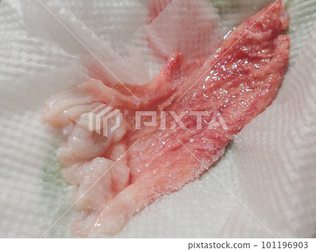 magochi's stomach magochi's stomach 101196903