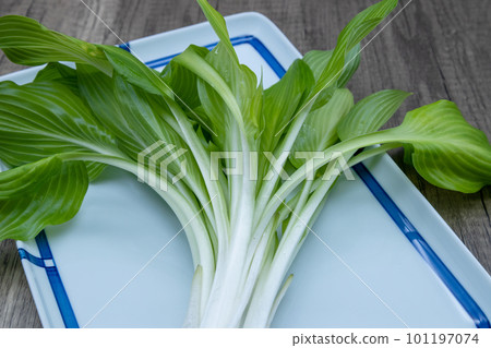 Urui on a plate Oobagiboshi with open leaves Urui on a plate Oobagiboshi with open leaves 101197074