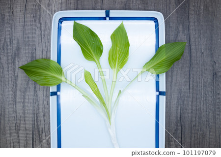 Urui 在 Oobagiboshi 盤子上,葉子開著 Urui 在 Oobagiboshi 盤子上,葉子開著 101197079