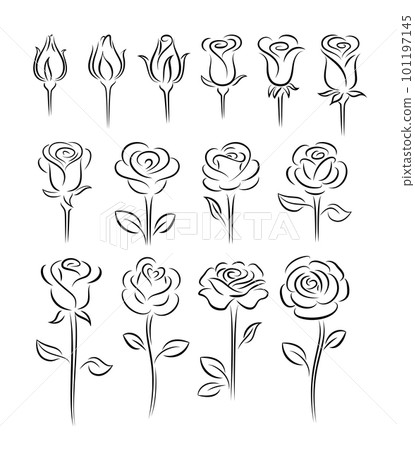 Roses design elements 101197145