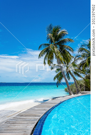 Exotic paradise Maldive resort lagoon bay view 101197402
