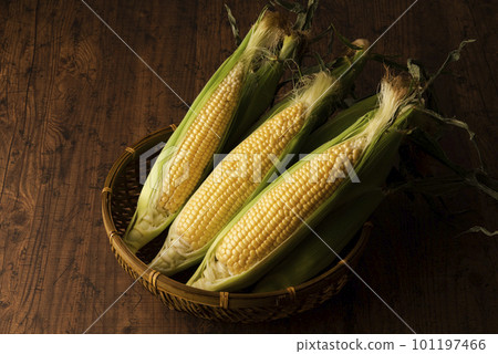 Corn Corn 101197466