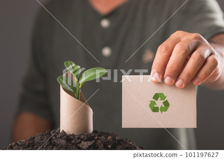 Save world and concept for plant the tree, Young green tree pops out of old brown cardboard on pile of soil with dark background, Can use for reuse, recycle and environment concept. 101197627