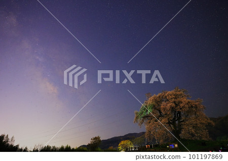 Sakura Wanitsuka and the Milky Way 101197869