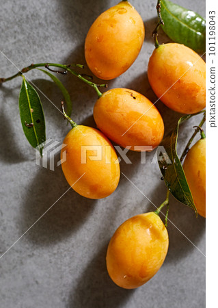 Fresh sweet marian plum on background 101198043