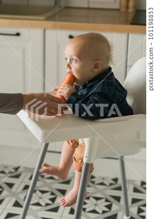 Baby boy sitting in baby chair eating carrot on kitchen background copy space - baby feeding concept 101198853