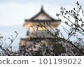 Sakura and castle tower Sakura and castle tower 101199022