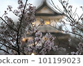 Spring castle surrounded by cherry blossoms Spring castle surrounded by cherry blossoms 101199023