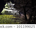 Illuminated castle cherry blossoms Illuminated castle cherry blossoms 101199025