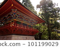 shrine surrounded by trees shrine surrounded by trees 101199029