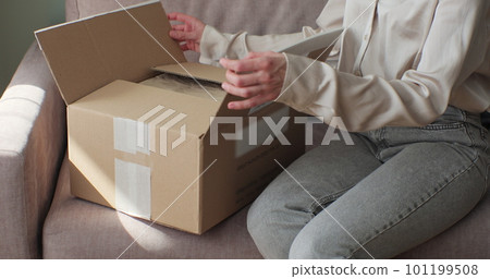 Young woman buyer opening parcel box at home. Female customer shopper receiving online shop purchase buying clothes unpacking delivery package. Young woman buyer opening parcel box at home. Female customer shopper receiving online shop purchase buying clothes unpacking delivery package. 101199508