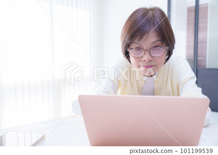 使用計算機的資深婦女 101199539