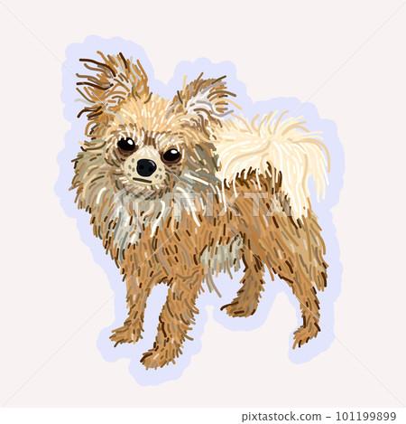 Vector isolated illustration of chihuahua. Small cute long-haired dog. 101199899