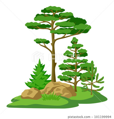 Spring or summer forest. Background with stylized trees. Seasonal illustration. Spring or summer forest. Background with stylized trees. Seasonal illustration. 101199994