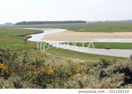 Nature Reserve 101200319