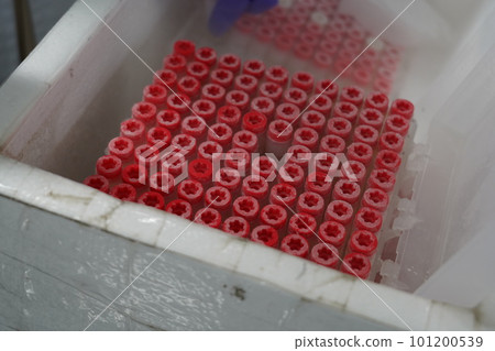 檢體 檢體 101200539